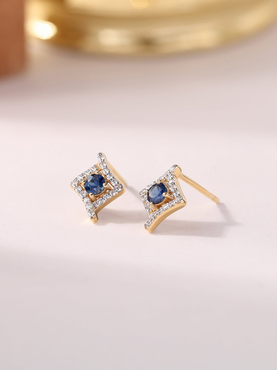 Blue Sapphire Precious Earrings