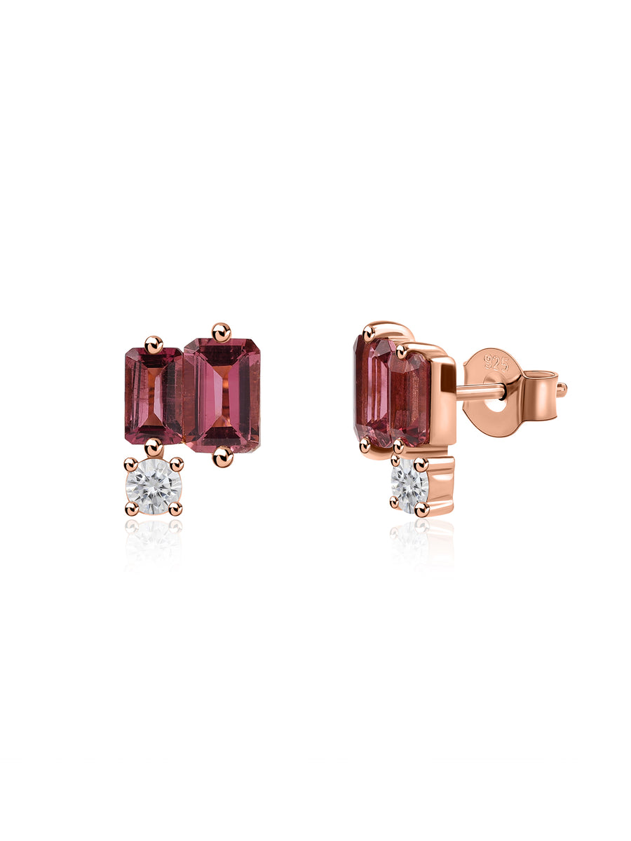 Shades Of Pink Earrings