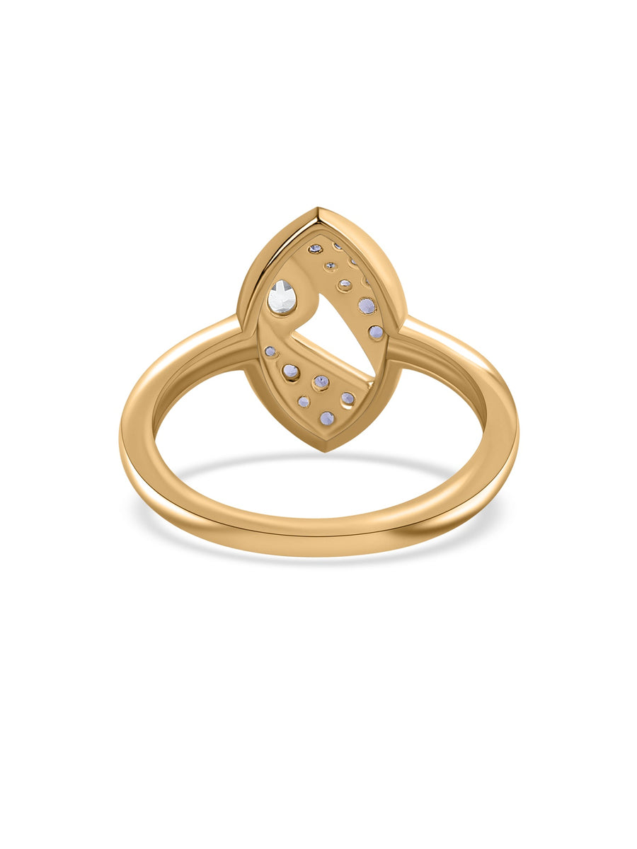 Twilight Flow Tanzanite Silver Ring