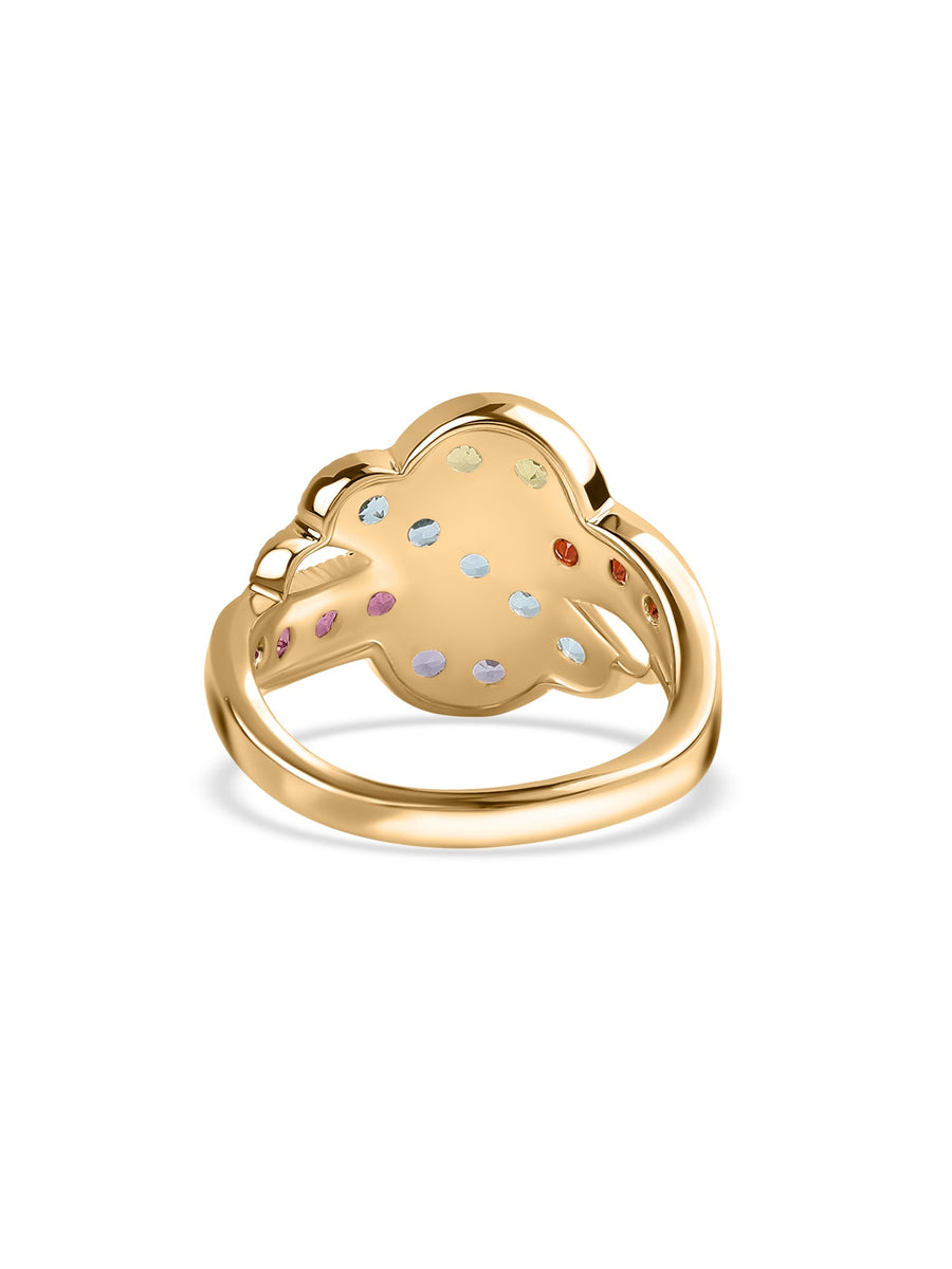 Radiant Spectrum Multi-Gemstone Silver Ring